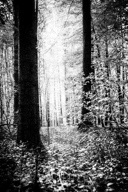 Black and White, Photograhy, Schwarz Weiß Fotografie, Pomponetti