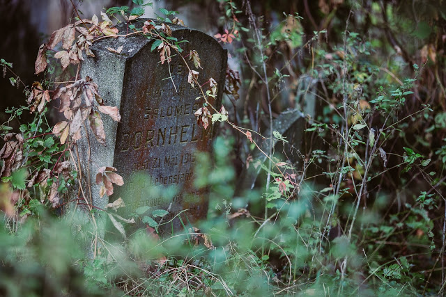 Wien, Zentralfriedhof, alter jüdischer Friedhof, Pomponetti