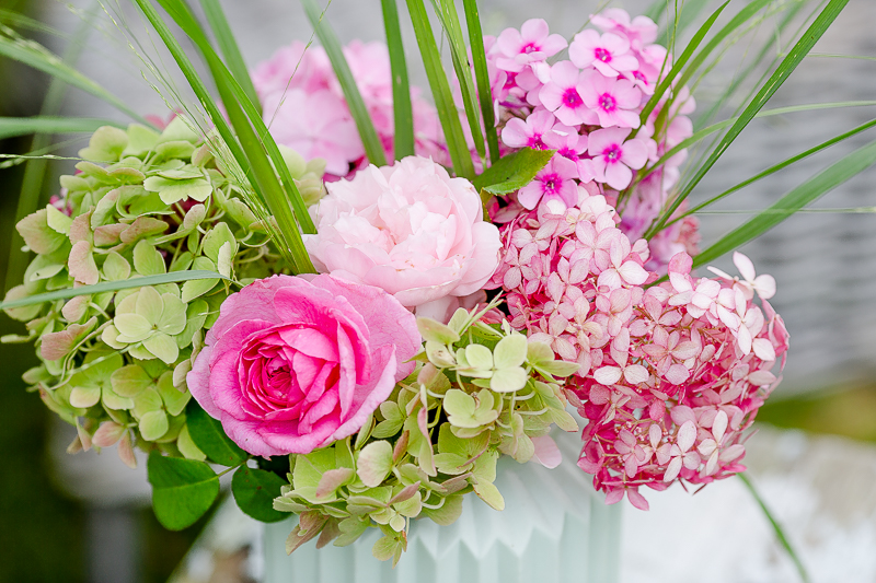 Wochenendblümchen und neue Sitzkissen, Pomponetti, Hortensien und Rosen 