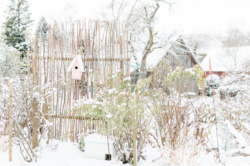 Garten im Winterkleid, Winterimpressionen, Pomponetti