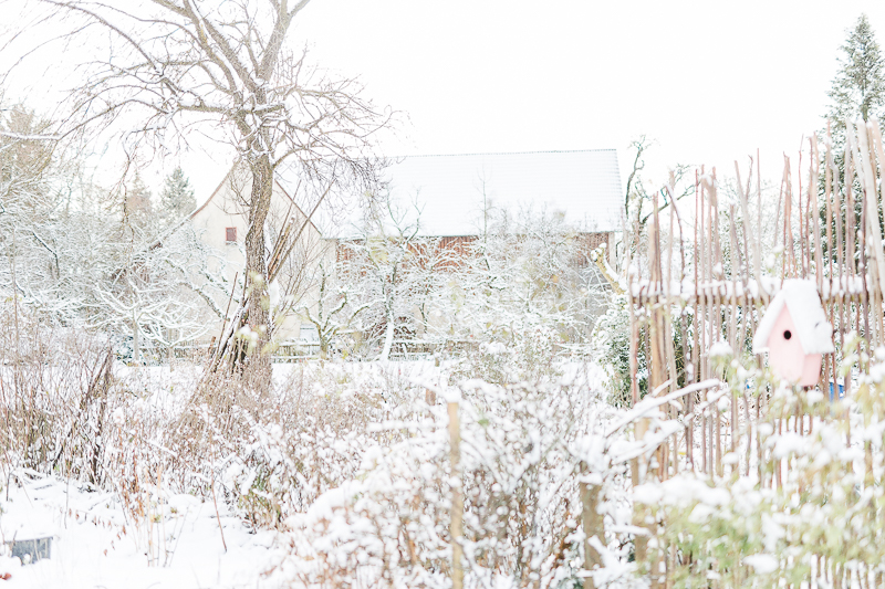 Garten im Winterkleid, Winterimpressionen, Pomponetti