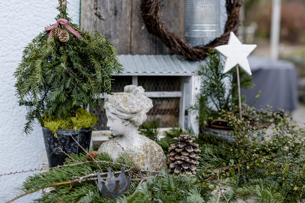Weihnachtlicher Zauber im Novembergarten, Pomponetti