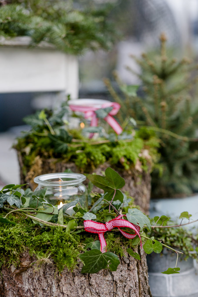 Weihnachtlicher Zauber im Novembergarten, Pomponetti