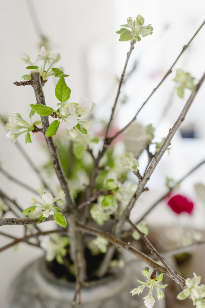 Frühlingsglück mit Papagaeientulpen und Apfelblüte, Pomponetti