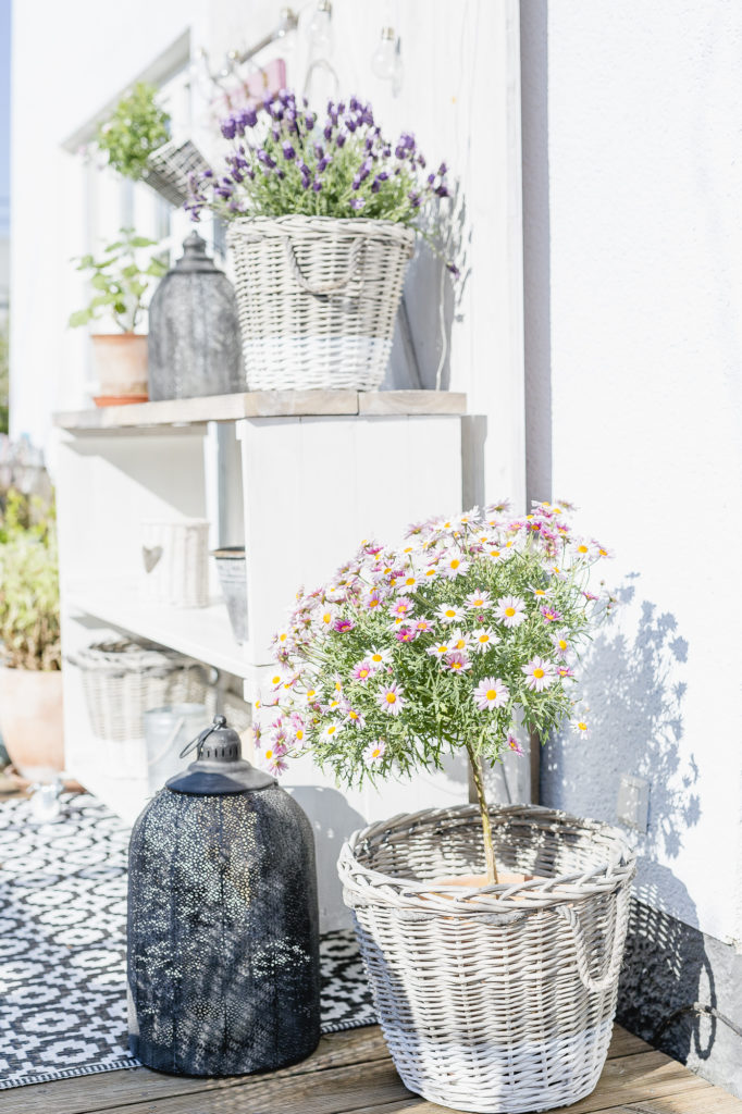 Terrassenregal DIY oder Karfreitagsblümchen, Pomponetti