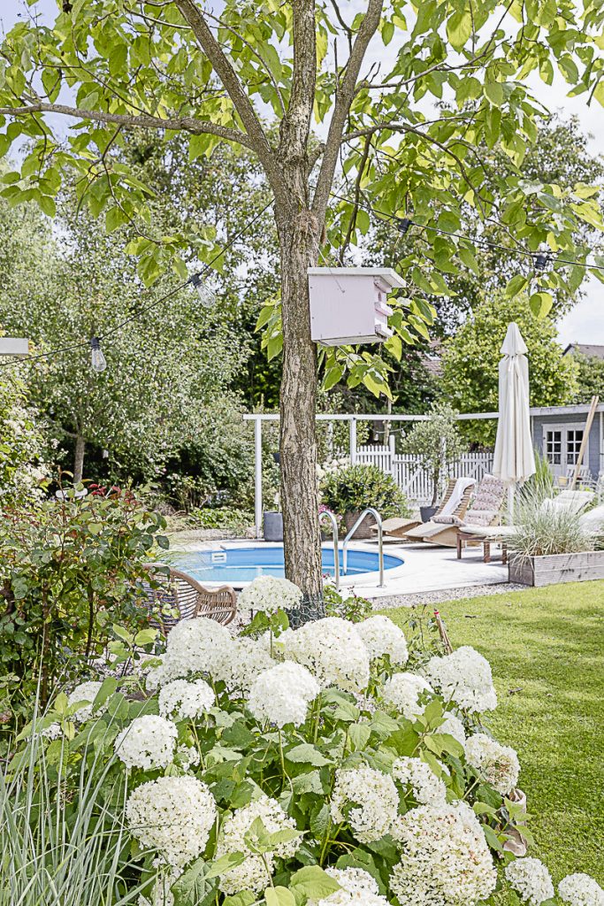 Garden with Pool, Pomponetti