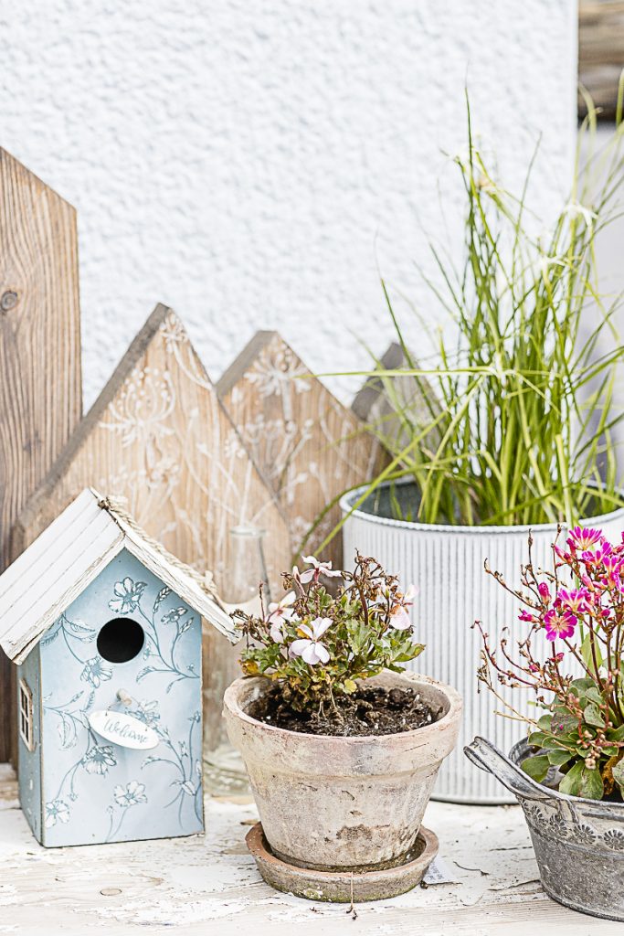 Spätsommer-Gartenimpressionen oder wo bleibt der Sommer, Pomponetti