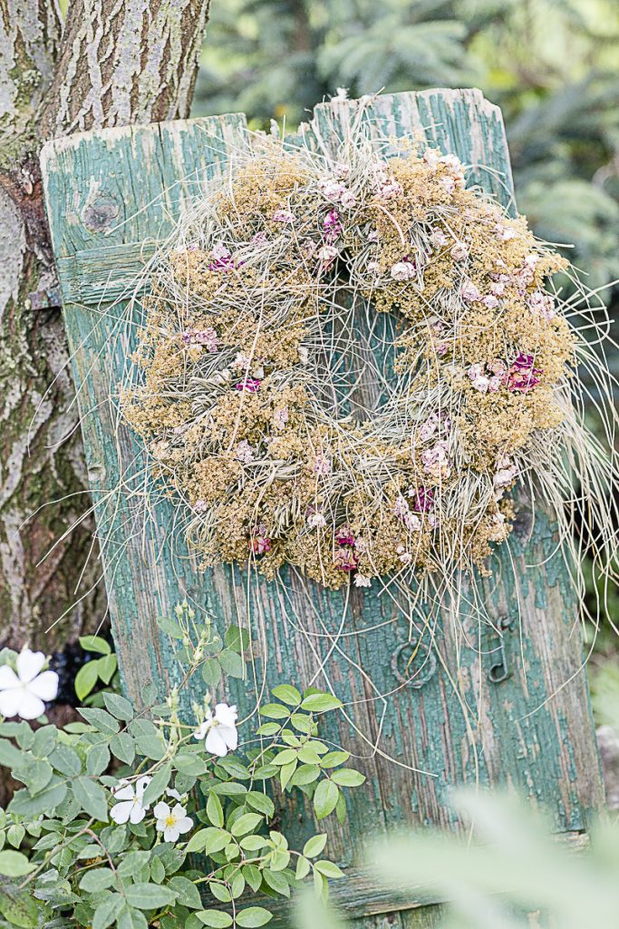 Late summer wreath dried, Pomponetti