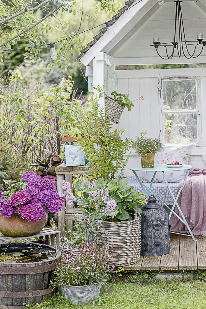 Spätsommer-Gartenimpressionen oder wo bleibt der Sommer, Pomponetti