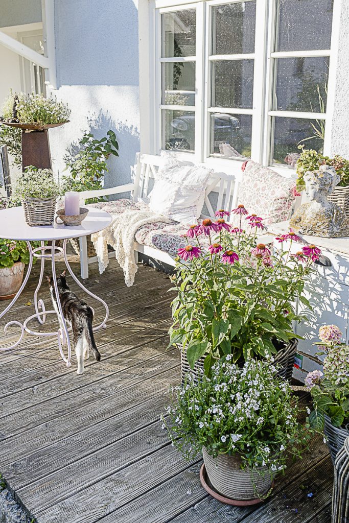 Spätsommer-Gartenimpressionen oder wo bleibt der Sommer, Pomponetti